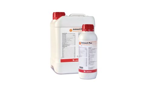 Aminovit Plus