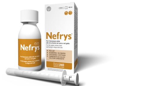 Nefrys