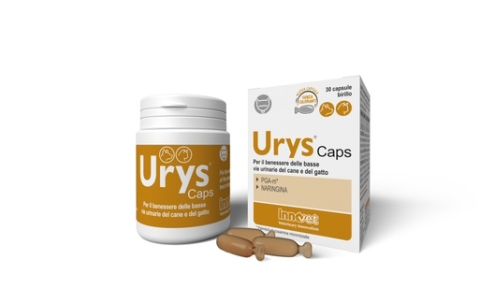 Urys Caps