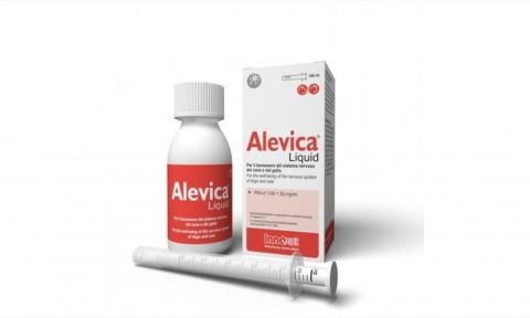 Alevica 100 ml